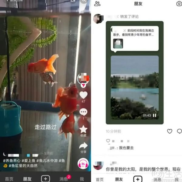 抖音App“朋友”功能升级，再次探索社交业务